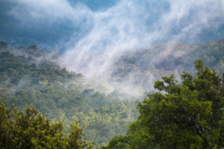 Low clouds over a mountain valley. Clouds fell on the mountains during the rain. The picturesque nature of Turkey.の写真素材