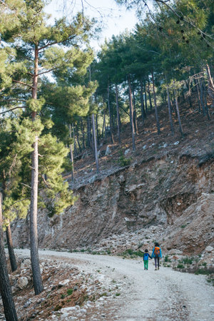A woman walks with her son through the forest. The boy with his mother go hiking. A child with a...