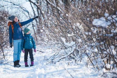 Woman with a child on a winter hike in the mountains. The boy travels with mother in the cold season. A child with a backpack walks with mother in a snowy park. Trekking with children. Winter trip.の写真素材