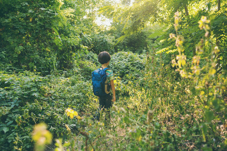 A boy with a backpack walks in the meadow, a child explores wildlife, a kid stands alone among the trees, a portrait of a boy.の写真素材
