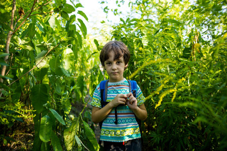 A boy with a backpack walks through the forest, a child explores wildlife, a kid stands alone among the trees, a portrait of a boy.の写真素材