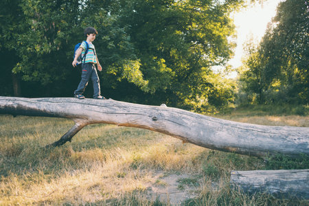 A boy with a backpack walks along the trunk of a fallen tree, a child walks through the forest, a kid is exploring nature, a boy learns to keep his balance.の写真素材