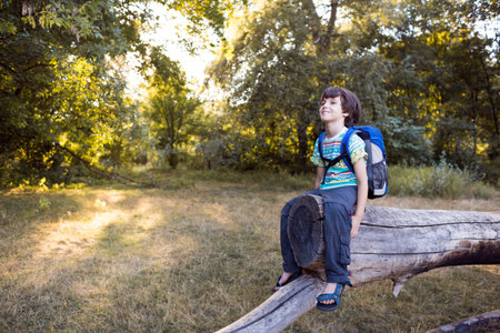 A boy with a backpack sits on the trunk of a fallen tree, a child walks through the forest, a kid is...