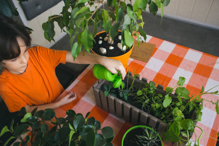 boy with a watering can caring for indoor flowers. child watering flowers in the house.の写真素材