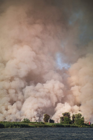 Large clouds of smoke, wildfire, natural disaster, forest fires, ecological disaster.