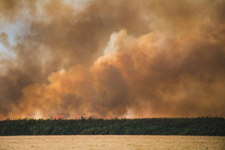 Large clouds of smoke, wildfire, natural disaster, forest fires, ecological disaster.