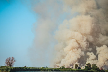 Large clouds of smoke, wildfire, natural disaster, forest fires, ecological disaster.