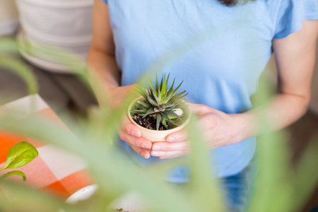 A woman holds a pot of succulent in her hands, a girl sells flowers, growing plants for sale, a...