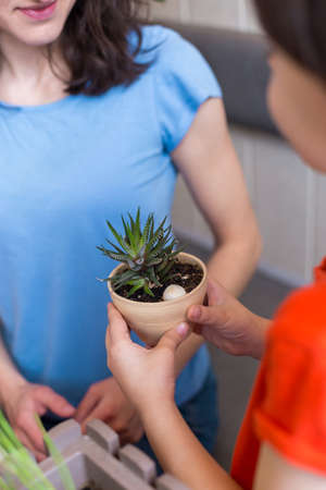 A child with his mother is choosing home plants in the store, a boy is holding a pot with a succulent in his hands, a woman is teaching her son to take care of flowersの写真素材