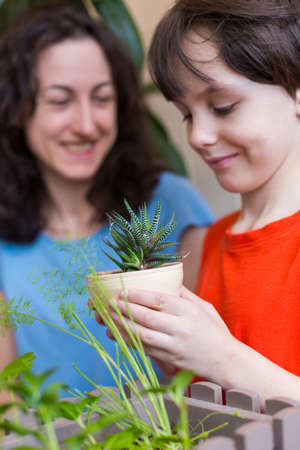 A child with his mother is choosing home plants in the store, a boy is holding a pot with a succulent in his hands, a woman is teaching her son to take care of flowersの写真素材
