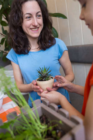 A child with his mother is choosing home plants in the store, a boy is holding a pot with a succulent in his hands, a woman is teaching her son to take care of flowersの写真素材