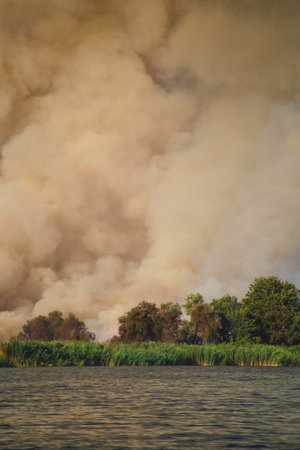 Large clouds of smoke, wildfire, natural disaster, forest fires, ecological disaster.