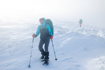 two women climbed to the top of the mountain during a fog, winter trekking, two girlfriends travel...