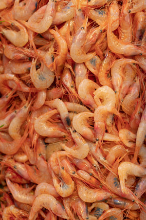 fresh shrimp on the counter of the store, seafood