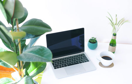 Freelancer workplace, laptop, coffee cup and potted plant on white table, modern officeの写真素材