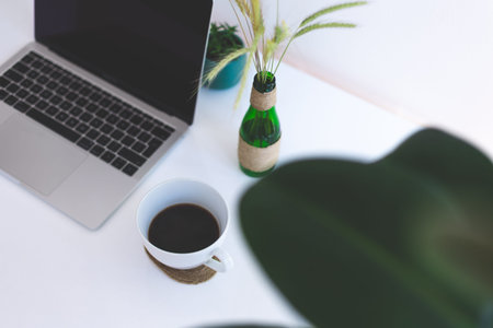 Freelancer workplace, laptop, coffee cup and potted plant on white table, modern office