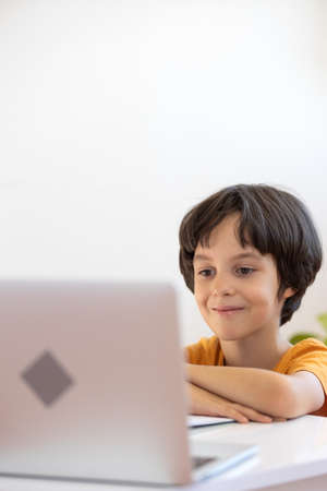 Online distance learning. a boy with a computer communicate via videoconference with a teacher and a class group. The child communicates online.の写真素材