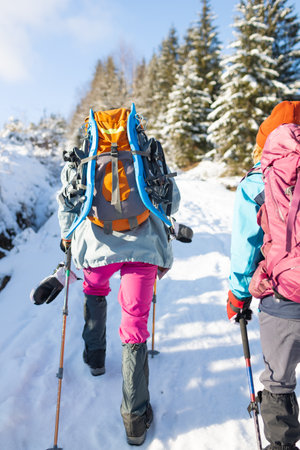 Two women walk with snowshoes on the backpacks, winter trekking, two people in the mountains in winter, hiking equipmentの写真素材