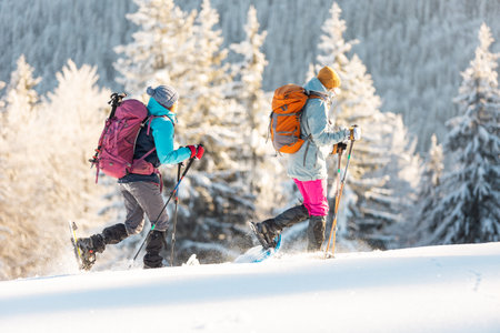 Two women walk in snowshoes in the snow, winter trekking, two people in the mountains in winter, hiking equipmentの写真素材