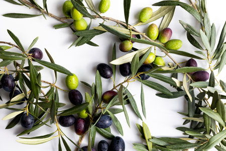 olives and olive branches on a white background. view from above.の写真素材