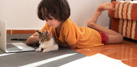 child lies on the floor and plays with a cat during an online lesson. homeschooling.の写真素材
