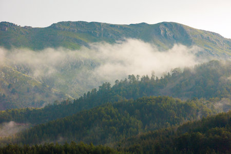 mountains in the clouds. mountain landscape. View of the mountain peak in the fog. Beautiful landscape with high cliffs. Dedegol. Turkey.の写真素材