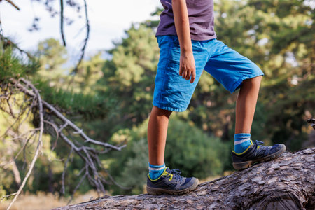 adventure travel. child in sneakers close-up. adventure travel concept. tourist travels through the forest, walks along the trunk of a fallen tree.の写真素材