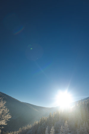 Snow covered winter mountains, trees covered with snow, mountain landscape in winterの写真素材