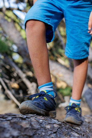 Close-up child's feet walk along the log of a fallen tree. a child in sneakers walks on a fallen tree. camping in the woods.の写真素材