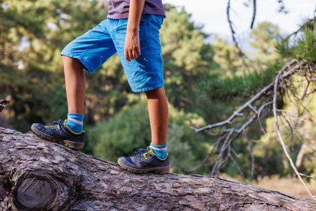 adventure travel. child in sneakers close-up. adventure travel concept. tourist travels through the forest, walks along the trunk of a fallen tree.の写真素材