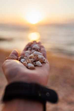 the girl shows shells on her palm. collection of shells. girl's hand with shells close-up. rest and...