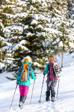 Travelers travel together through beautiful nature in winter. two girls walk through the woods in winter. hiking in the mountains with snowshoes.の写真素材