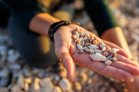 a girl sits on the beach and collects different shells. collection of shells. girl's hands with...