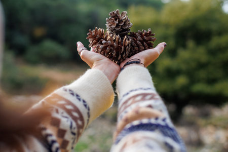 Women's hands hold cones against the background of the forest. girl in a cozy knitted sweater. Cones in the hands of women. New Year, Christmas mood. Winter decor. Winter mood.の写真素材