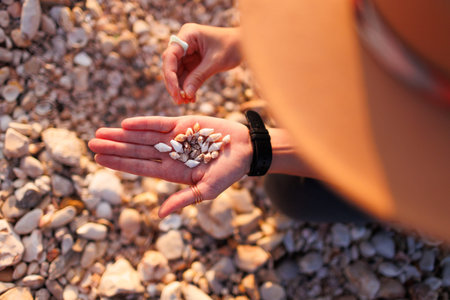 girl sits on the beach and collects various shells in her hand. girl's hands with shells close-up.