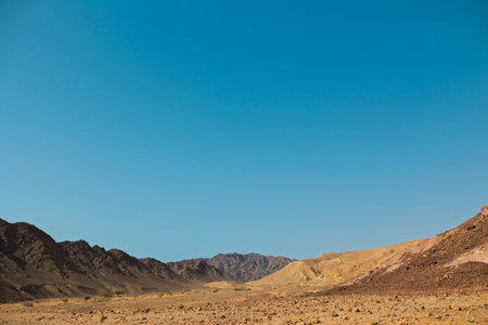 View of dry desert valley. Trekking in the desert. Eilat. Israel.