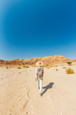 A woman with a backpack walking in the desert. Trekking and hiking in the desert. Back view. Timna National Park. Israel. Tourist in the desert.の写真素材