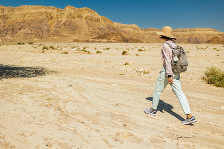 The stunning natural beauty of Timna National Park. A female hiker with a backpack walks through the...