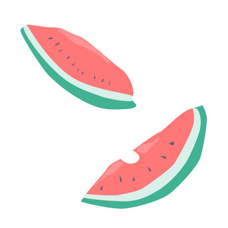 juicy watermelon slice in cartoon flat styleのイラスト素材