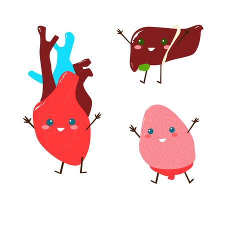 characters of kawaii internal organs of a person