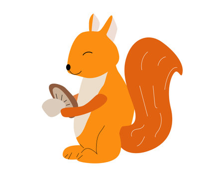red squirrel with a mushroom in its pawsのイラスト素材