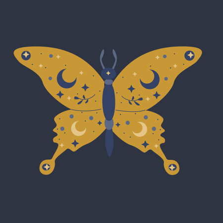 beautiful butterfly with moon and stars ornamentのイラスト素材
