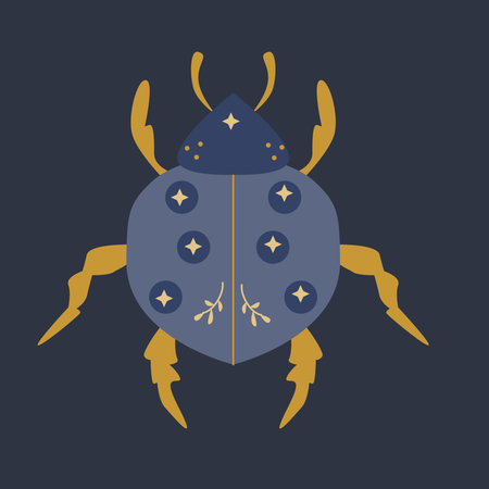 cosmic ladybird with cosmic bright ornamentのイラスト素材