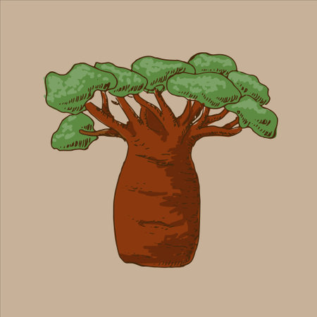 baobab tree sketch in retro style with colorsのイラスト素材