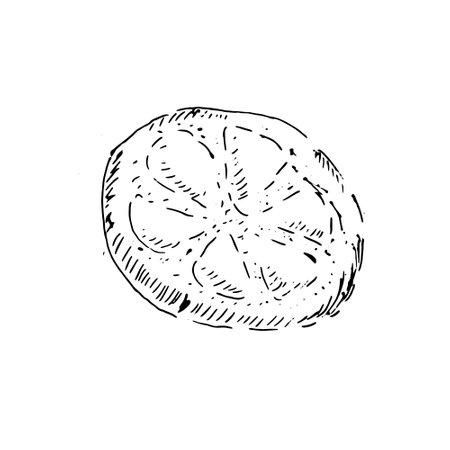 Traditional Osetian pie or khachapuri of Georgiaのイラスト素材