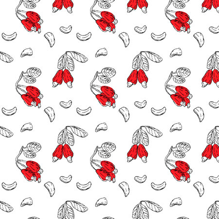 Hand drawn cashew background with red nuts. Vector illustration isolated. Can used for textile, cover design, kitchen wallpaper.のイラスト素材