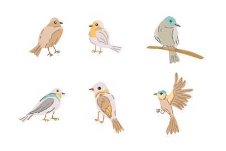 set of spring birds - cute animals standing, flying and sitting on wood Vector illustration isolated. Can used for wallpaper, poster, print design for cloth.のイラスト素材