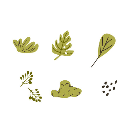Set of Hand drawn floral elements tropical leaves. Vector illustration can used for greeting card, banner, poster.のイラスト素材