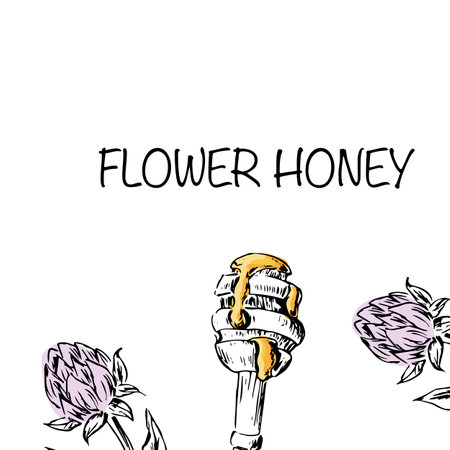Honey clover background hand drawn sketch in color. Vector illustration can be used for wrapping paper, label, poster, cards. Engraved or ink vector honey illustrations.のイラスト素材