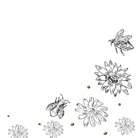 Hand drawn vintage floral elements background, border. Vector illustration can be used for textile, wrapping, decoration.のイラスト素材